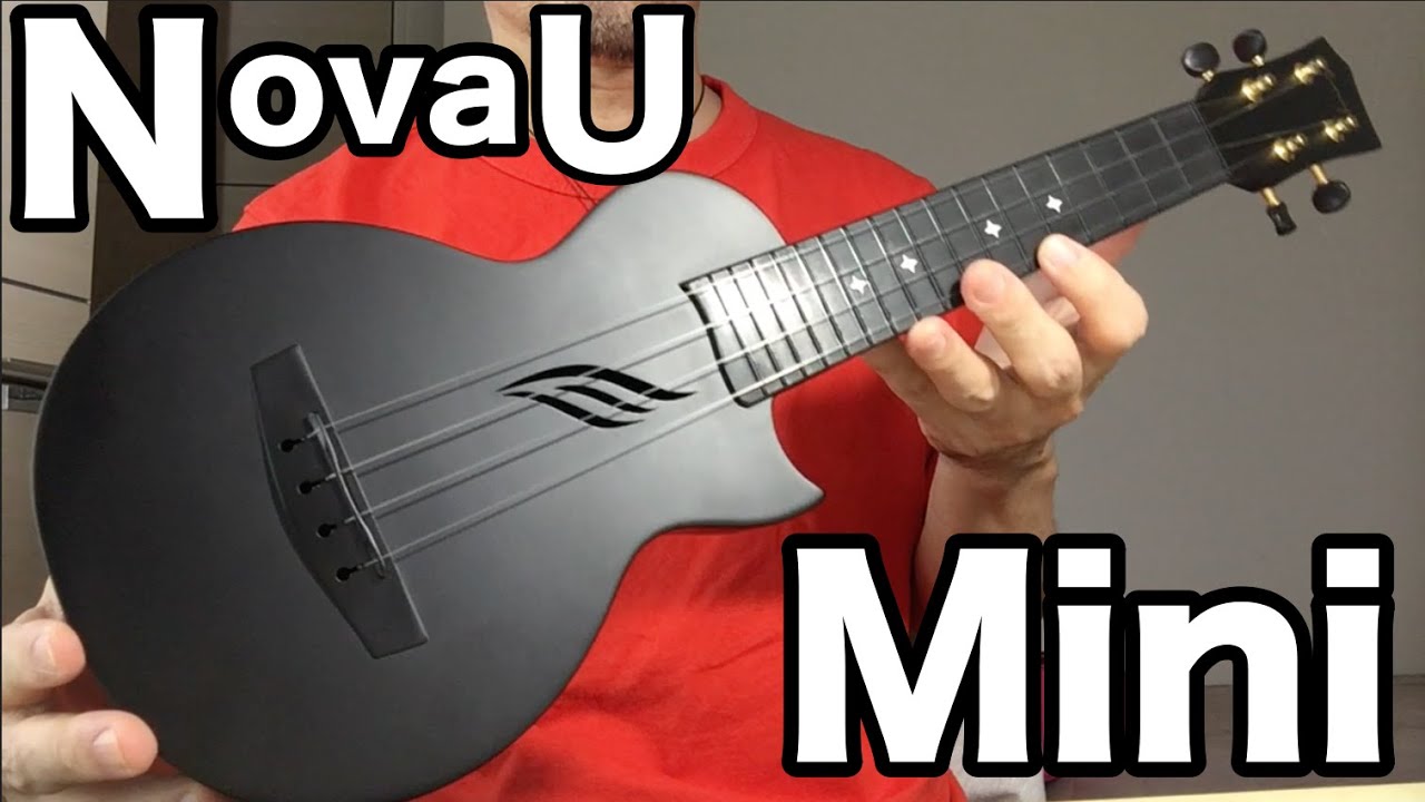 ❇️ソプラノサイズの新風 enya『Nova U Mini』（ウクレレ探訪 66）