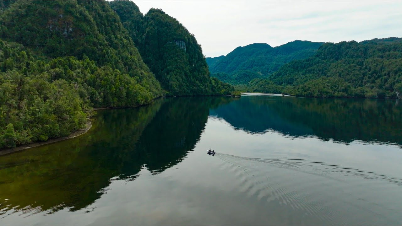 A LA PESCA 