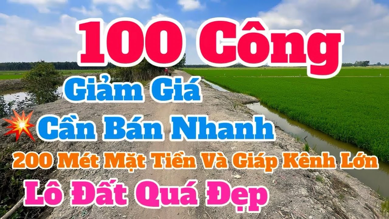 (Số 879) Gấp Gấp📍Duy Nhất 100 Công💥Cần Gấp Giá Siêu Rẻ ☘️Đất Siêu Đẹp Tại Thạnh Hoá 