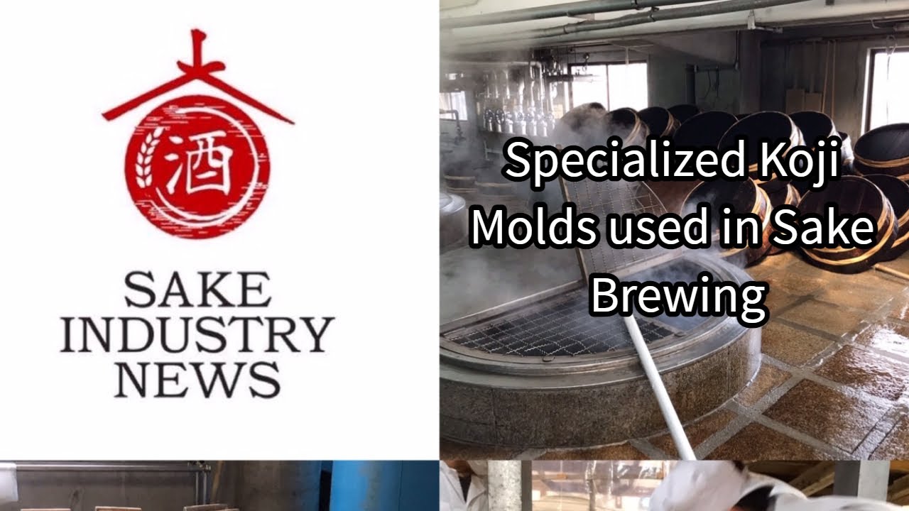 Specialized Koji Molds Used in Sake Brewing