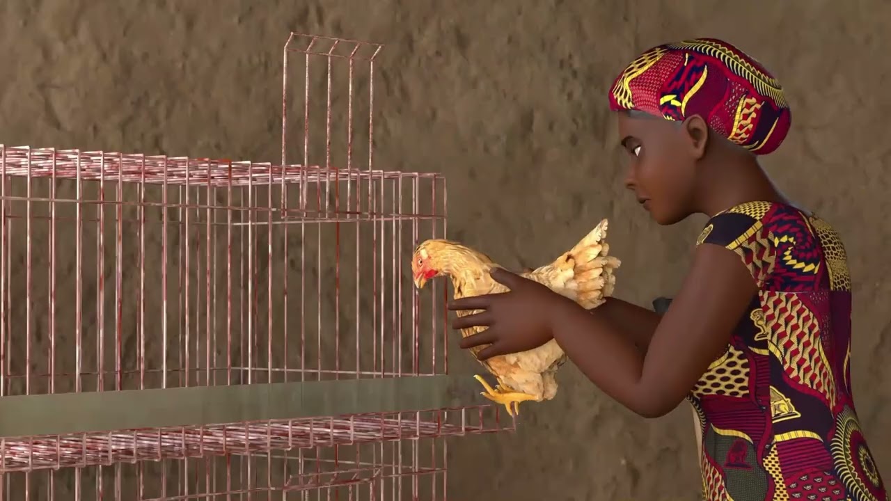 Uko warinda Inkoko zawe indwara y’Umuraramo