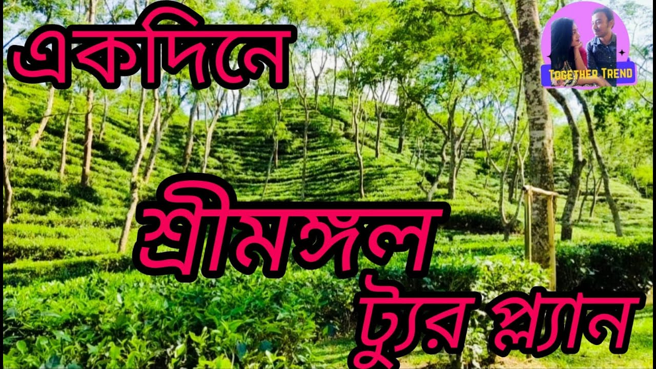 একদিনে শ্রীমঙ্গল ট্যুর প্ল্যান || Sreemangal Tour | Sylhet | Bangladesh || @TogetherTrend