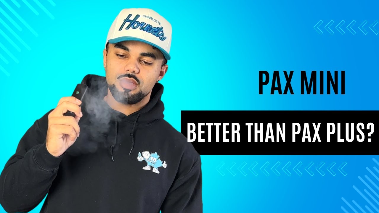 Exploring The Pax Mini Dry Herb Vaporizer