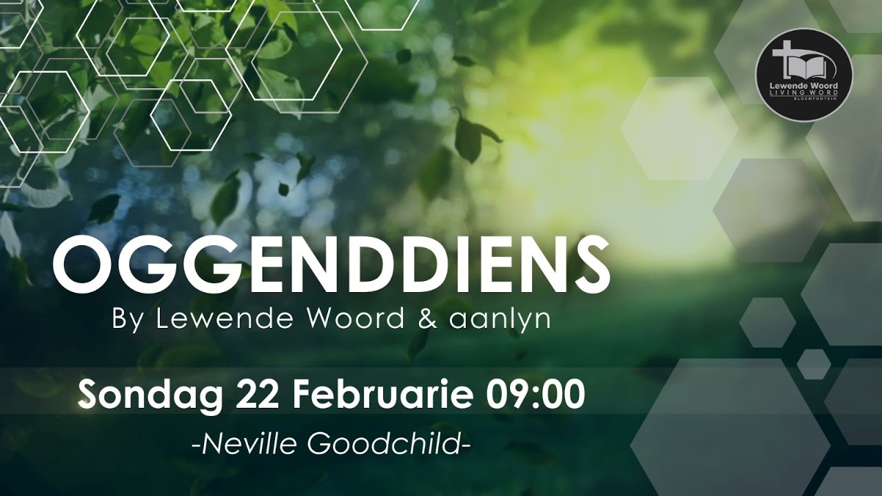 22/02/2026 - VIND, VOLG EN VERVUL.