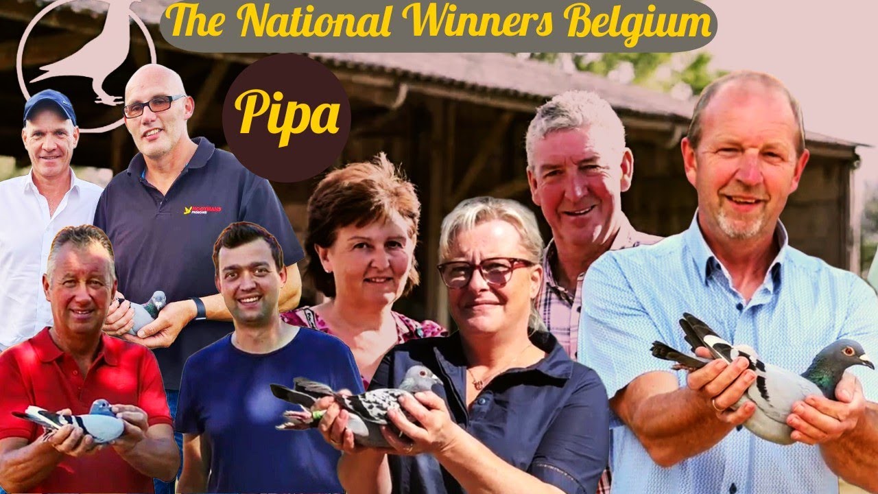 The National Winners Belgium | Pipa | Racing Pigeons 2022
