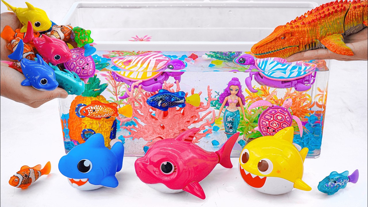 [Toy asmr] Mosasaurus& RC Shark & Baby Shark &Zuru Robo Alive Aquarium ASMR Satisfying with Unboxing