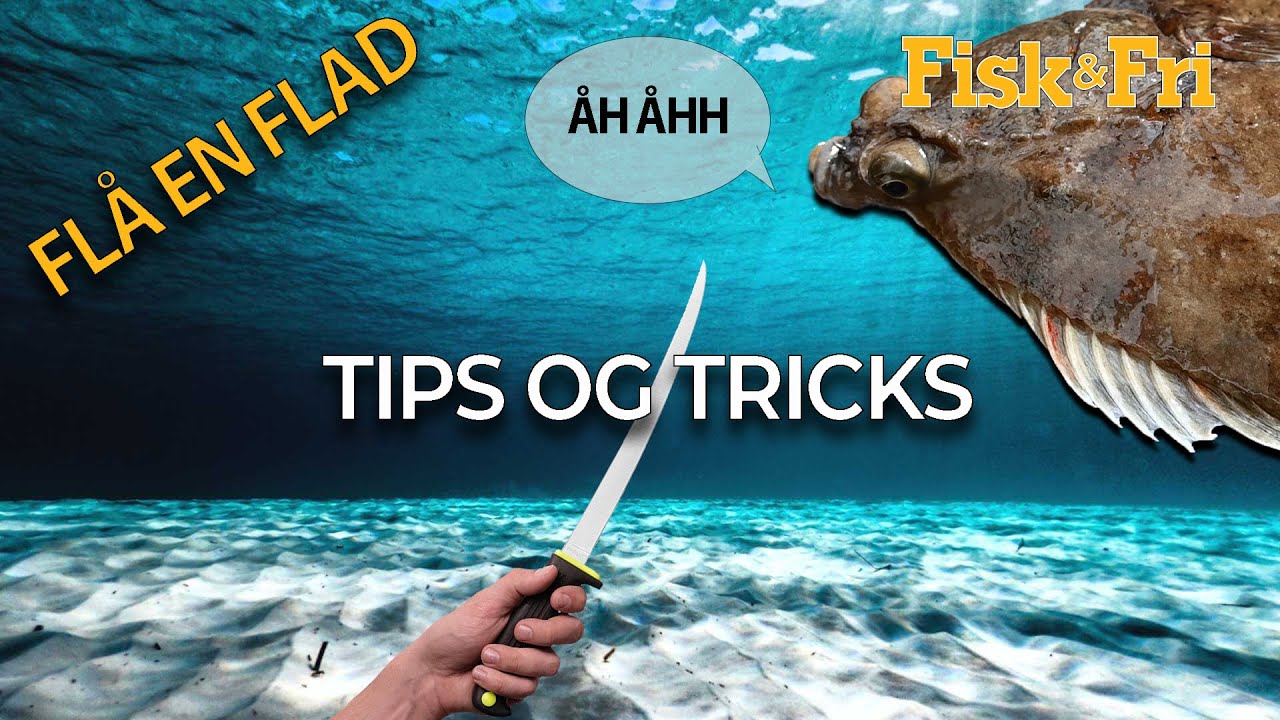 Fl&aring; en fladfisk - s&aring;dan g&oslash;r du
