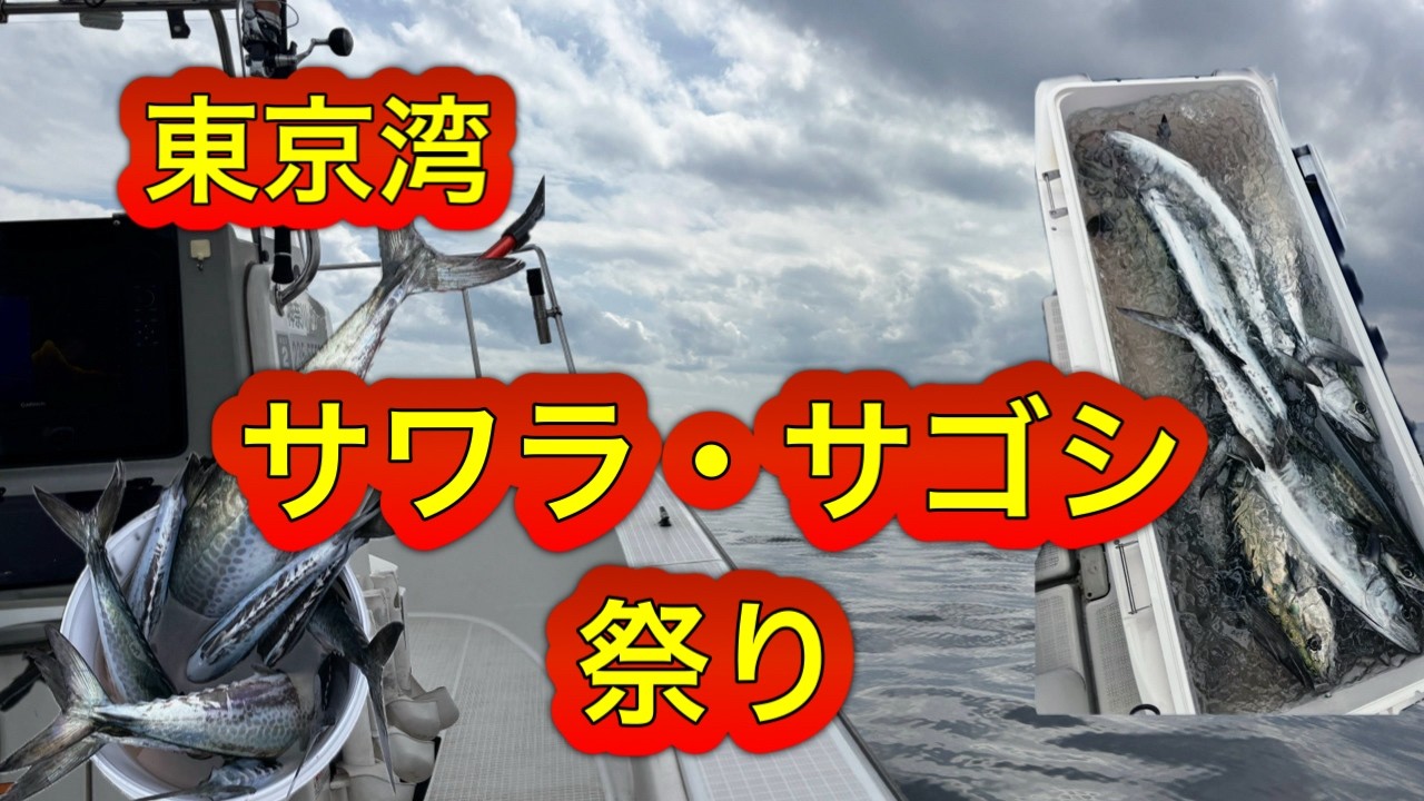 東京湾サゴワラ祭り！！全員集合！