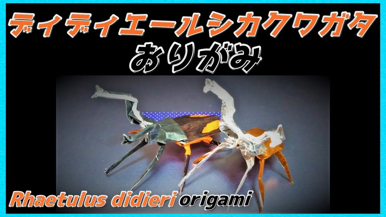 ディディエールシカクワガタおりがみ(Rhaetulus didieri/Didier deer stag Origami)迪迪埃鹿鹿折纸(디디 에르 사슴 사슴 벌레 종이 접기)
