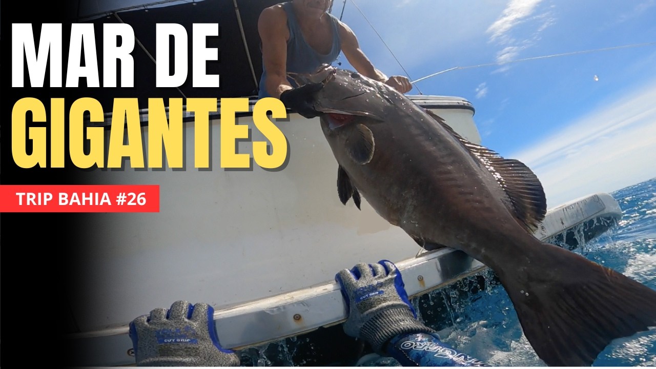 Hunter's Pesca Sub - A Temporada 2026 começou em grande estilo