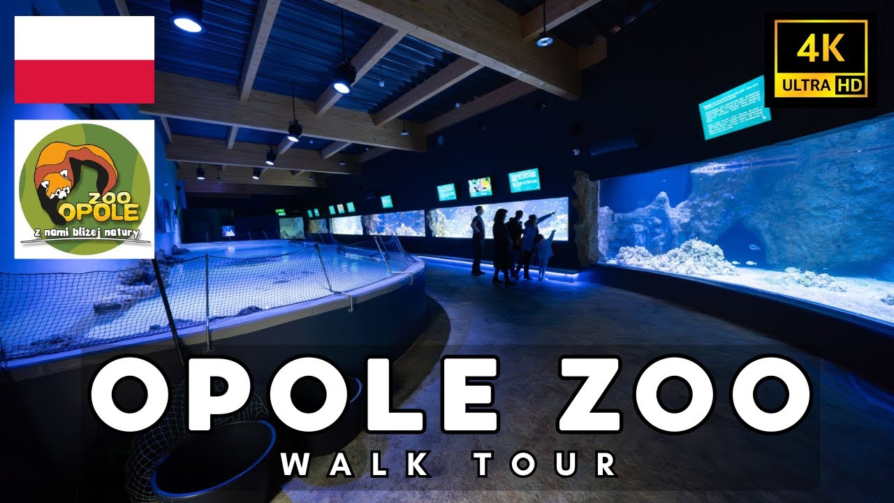 Winter Day At The Zoo | All The Animals Spotted
