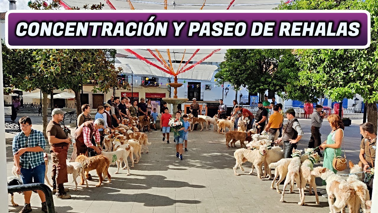 CONCENTRACIÓN Y PASEO DE REHALAS / MUESTRA CINEGÉTICA 2022 | 2º DÍA 1º PARTE Villaviciosa de Córdoba