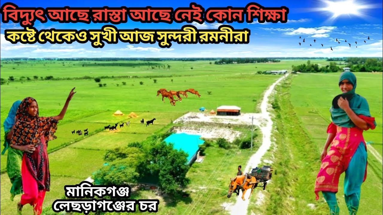 লেছড়াগঞ্জ চরে বিদ্যুৎ আছে রাস্তা আছে নেই কোন শিক্ষা,