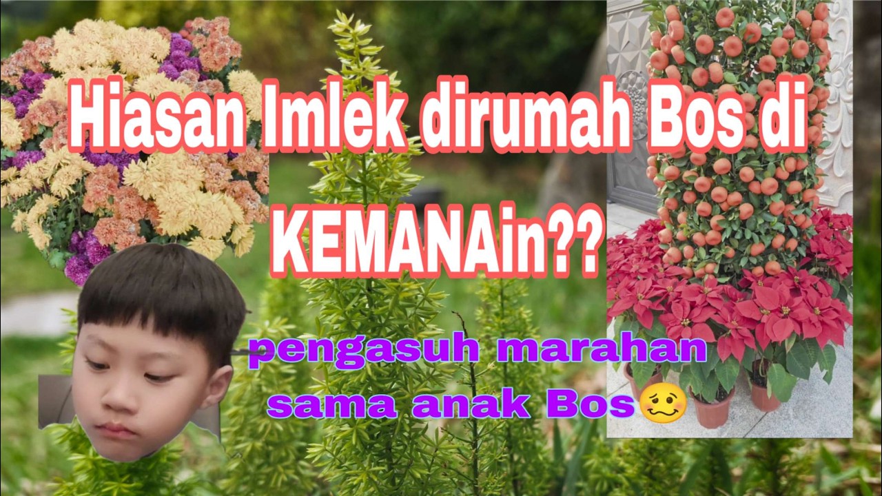 dikemanain hisan-hiasan Imlek?? atur waktu saat puasa mba Tkw...