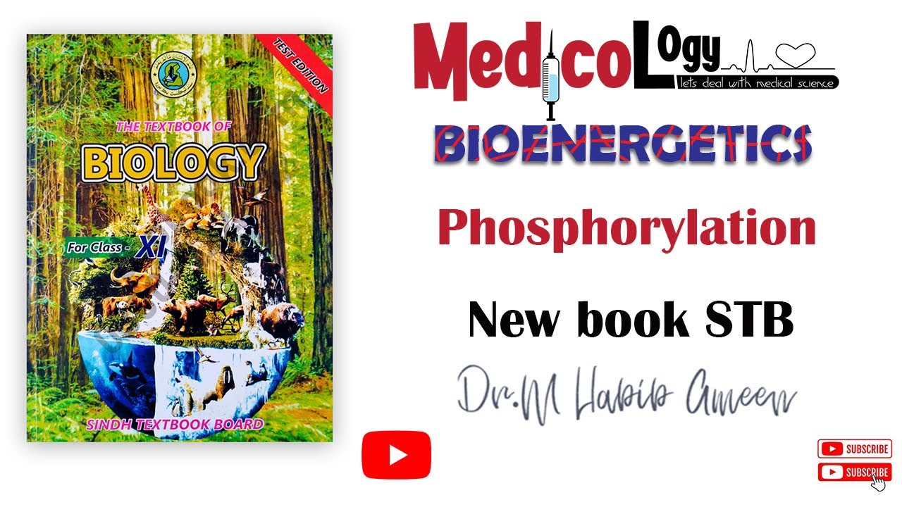 BIONENERGETICS Chapter 04 || Introduction || Phosphorylation - New Book biology STB