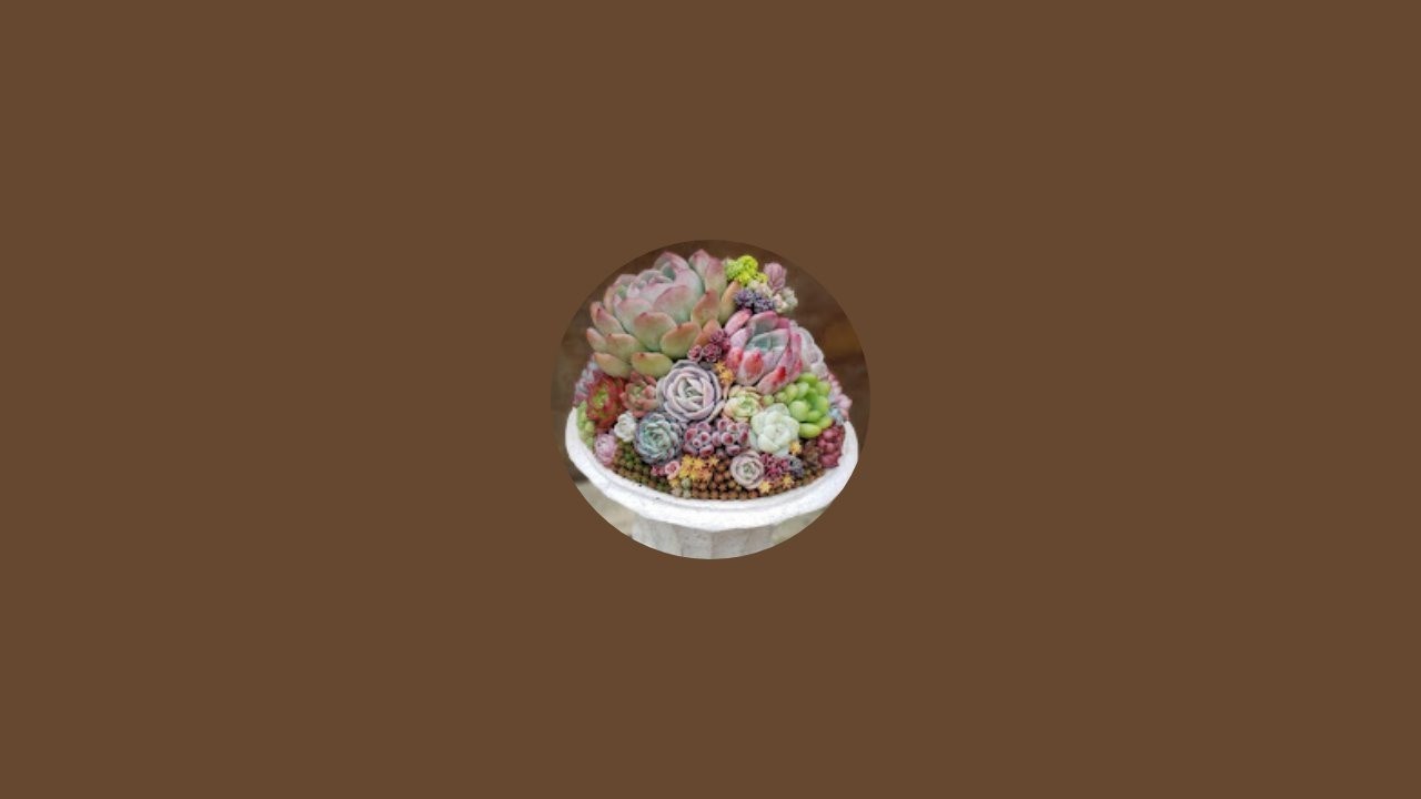 【多肉植物】第6回花友フェスタin 幕張メッセ説明
