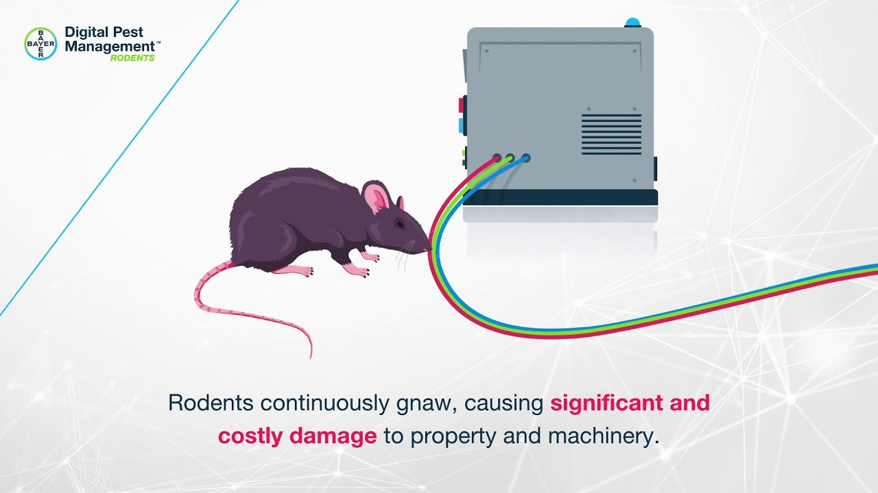 Digital Pest Management - Introduction