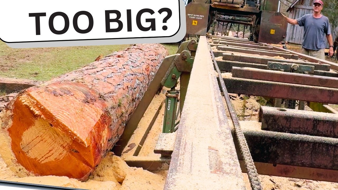 The $1k Mistake Milling Lumber For Our DIY Cabin