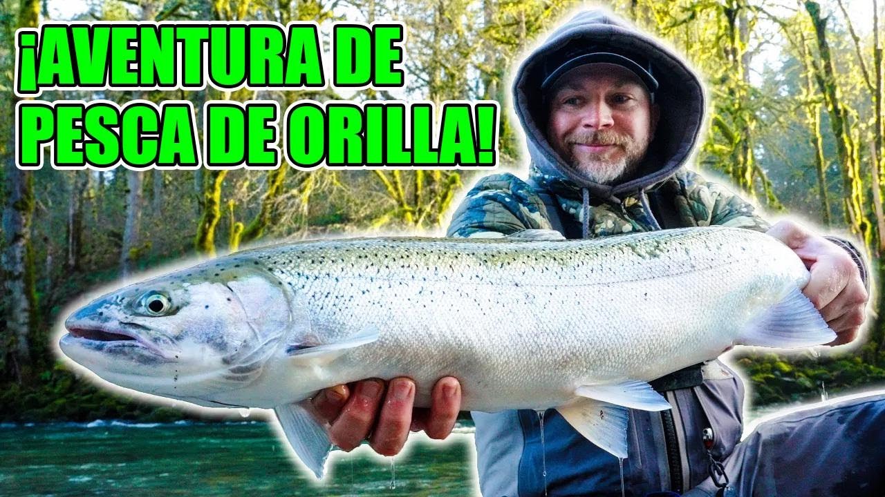 Pesca de steelhead desde la orilla: ¡frío, aventura y desafíos en cada lanzamiento!