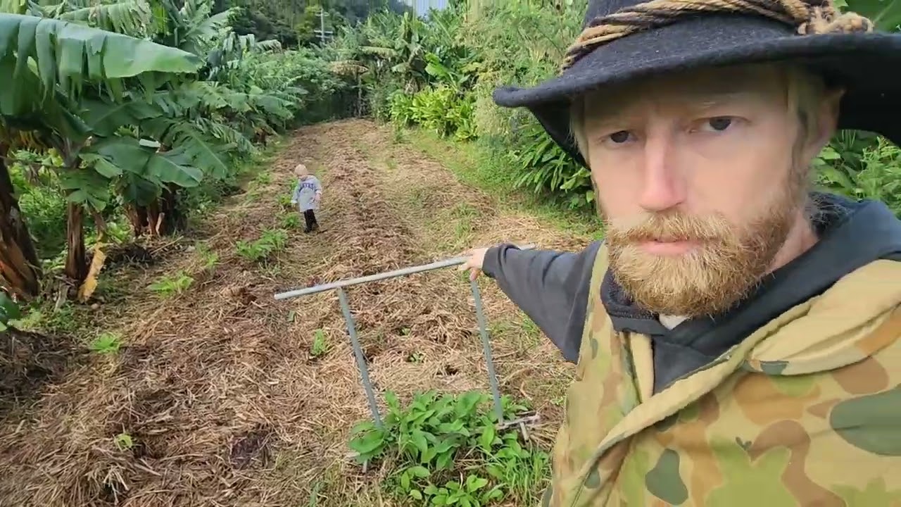 Planting Garlic & Cabbage [Autumn 2025]