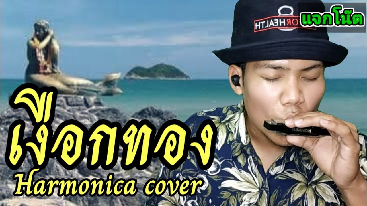 เงือกทอง [เมาท์ออแกน] | อ่านอันดา feat.Mauii Wauii | Harmonica cover