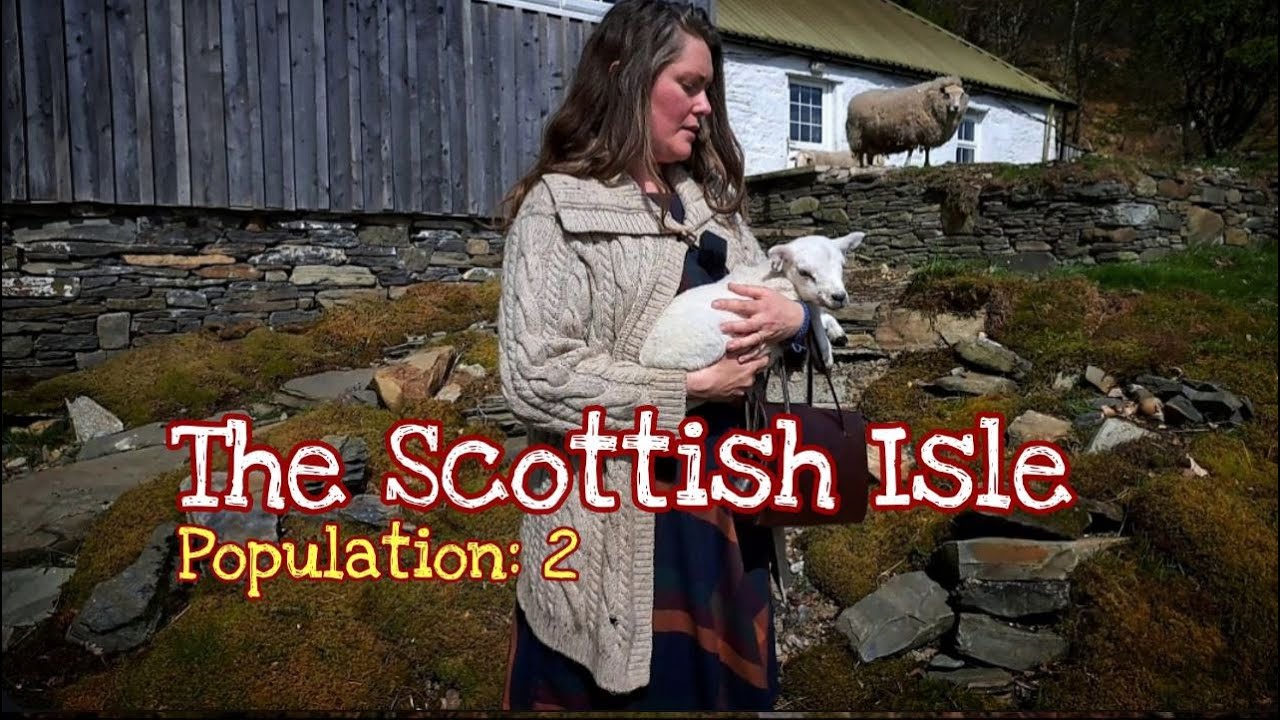 Will the Newborn Lamb be Accepted into Our Remote Island's Flock? | The Scottish Isle