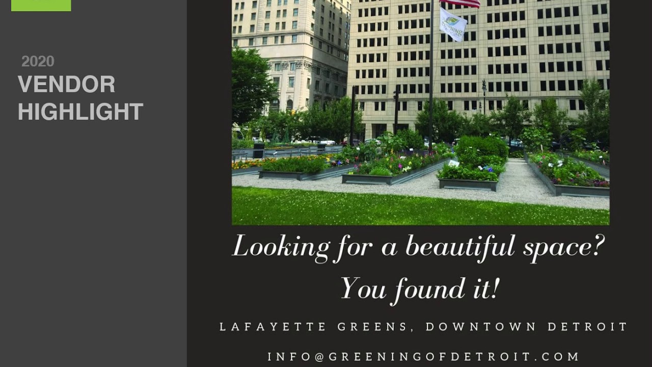The Greening of Detroit: Detroit Wedding Day Highlight