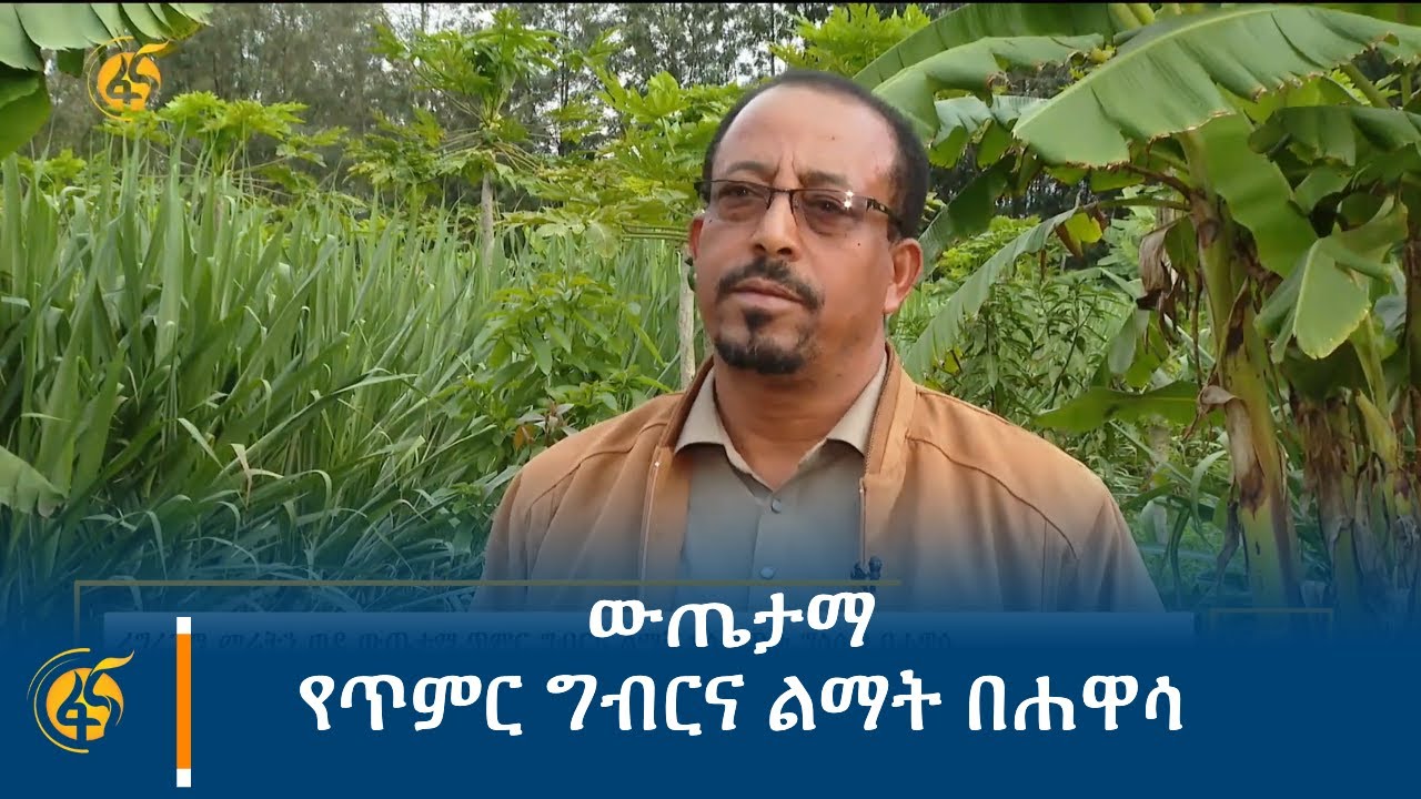ውጤታማ የጥምር ግብርና ልማት በሐዋሳ