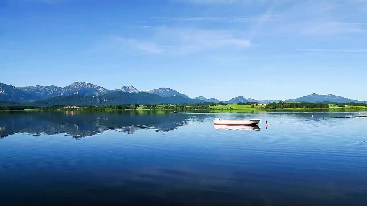 Wonderland Music Relaxing Study Piano Music and Nature Sound ZenMusic