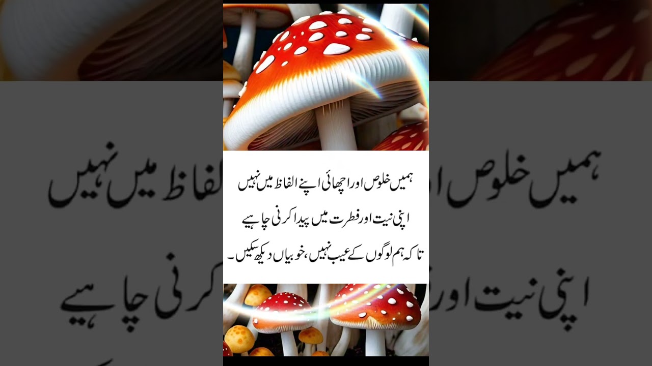 Golden Words In Urdu#urduenglishquote #urdulovequotes #urdunovelquotes #urdusadquotes#yt #subscribe