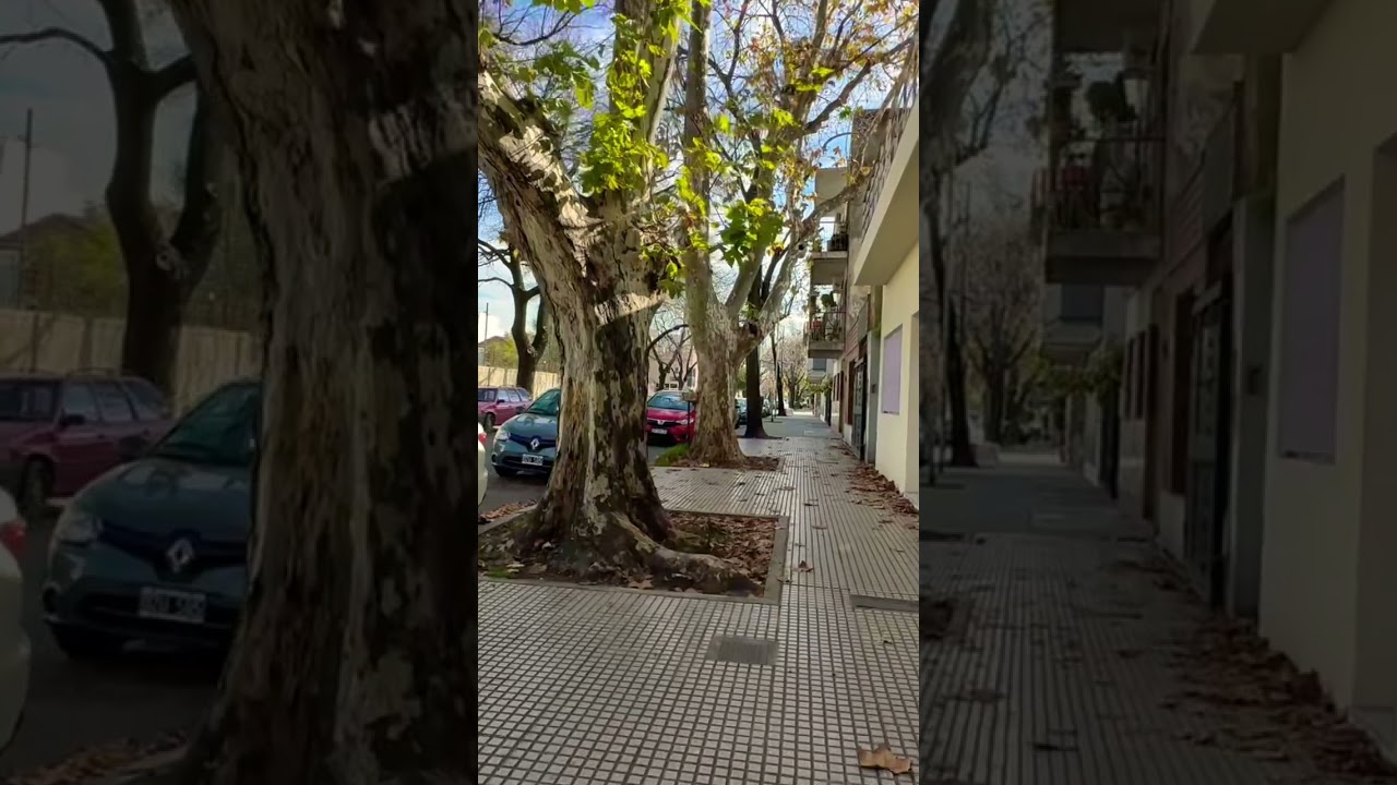 Pero que tranquilas son las calles del barrio porteño de Devoto 