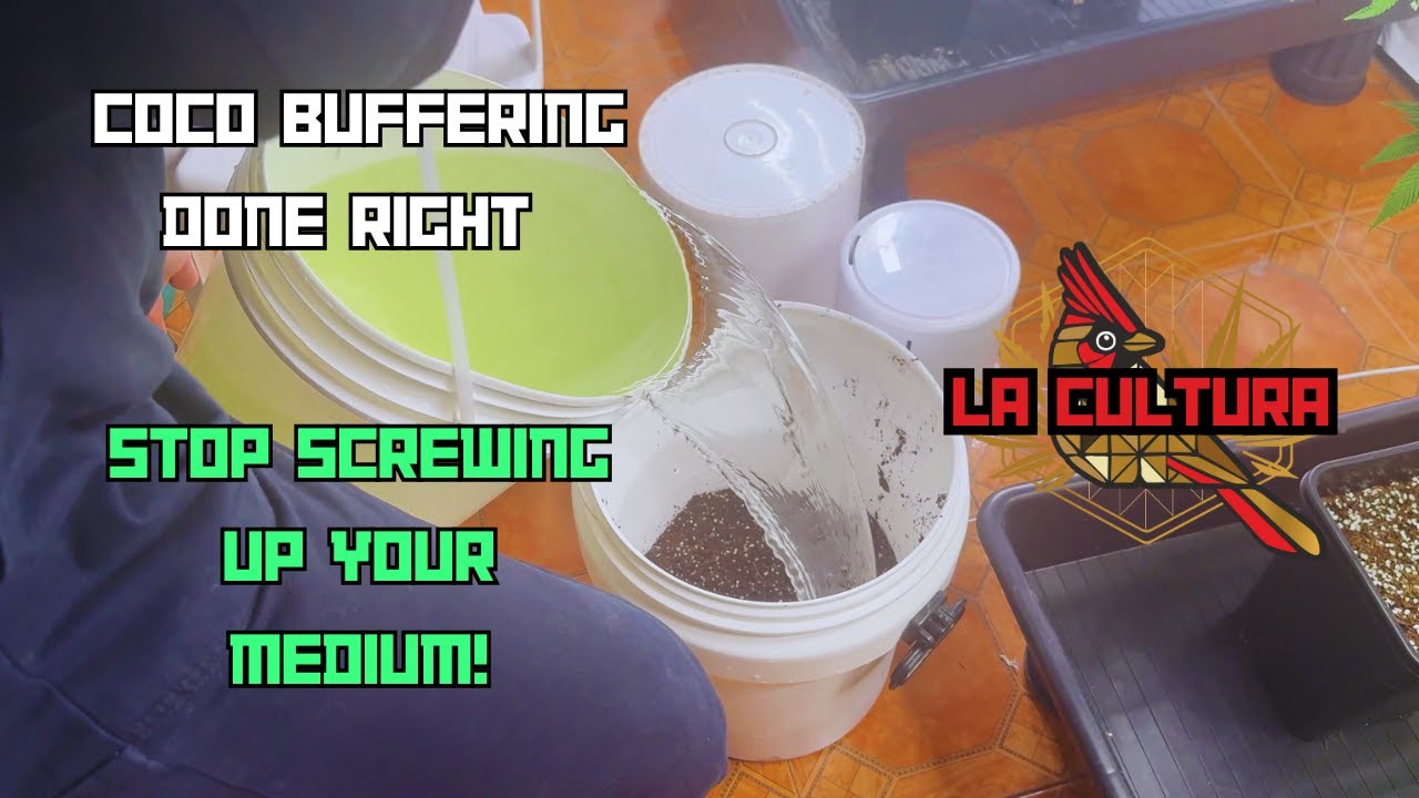 How to Properly Buffer Coco Coir | Step-by-Step Tutorial