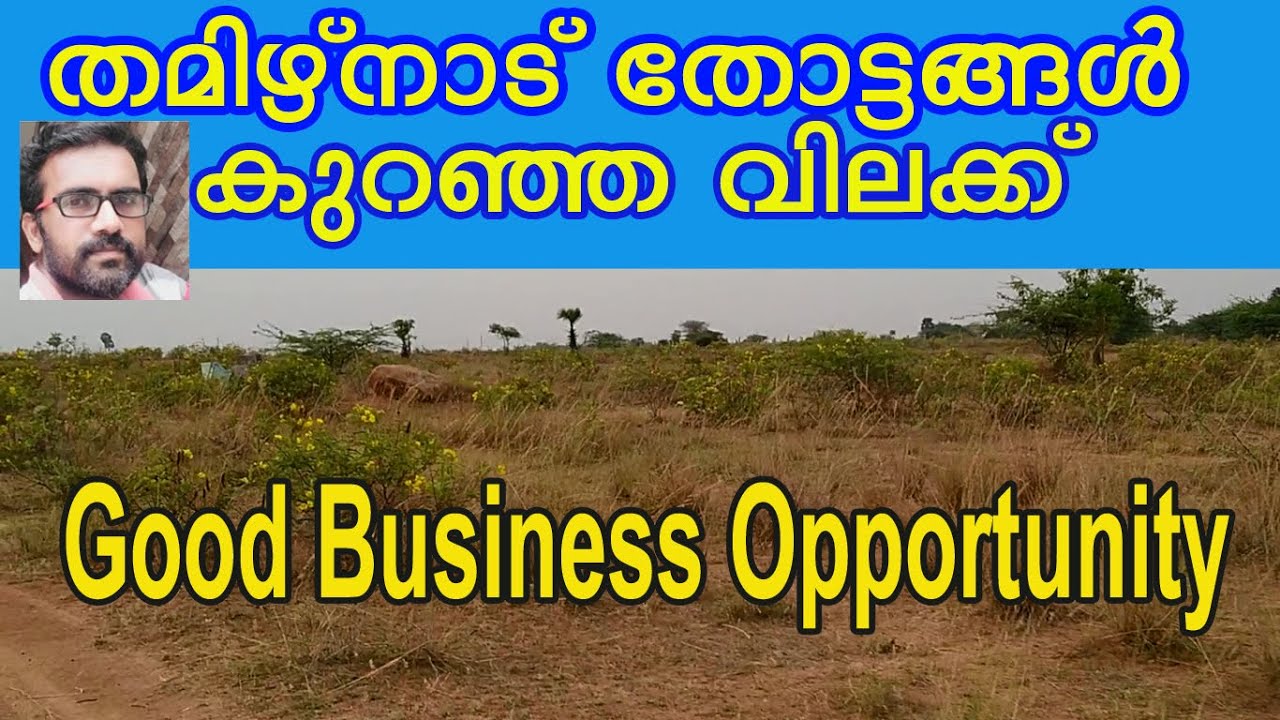 Tamilnadu Farm in Low Price|Ambasamudram|Papanasam|Tamilnadu Thottam|Goat Farming|Aadu Valarthal