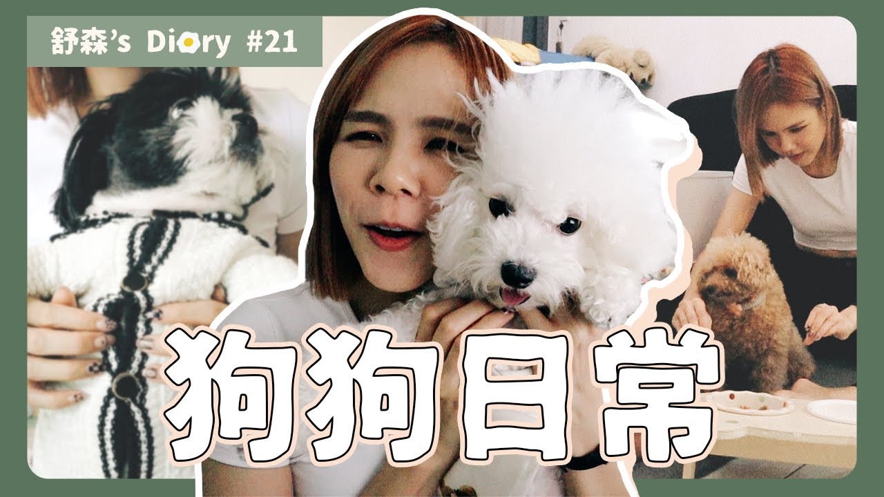 狗保姆日常來啦🐶狗都沒有我累🥹 【舒森‘s Diary #21】
