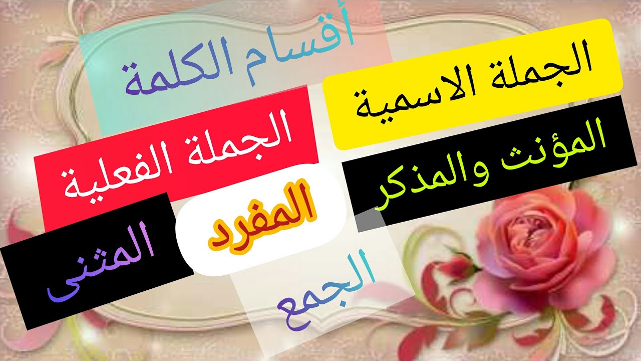 أقسام الكلمة الجملة الاسمية والجملة الفعلية المؤنث والمذكر المفرد المثنى والجمع النواسخ