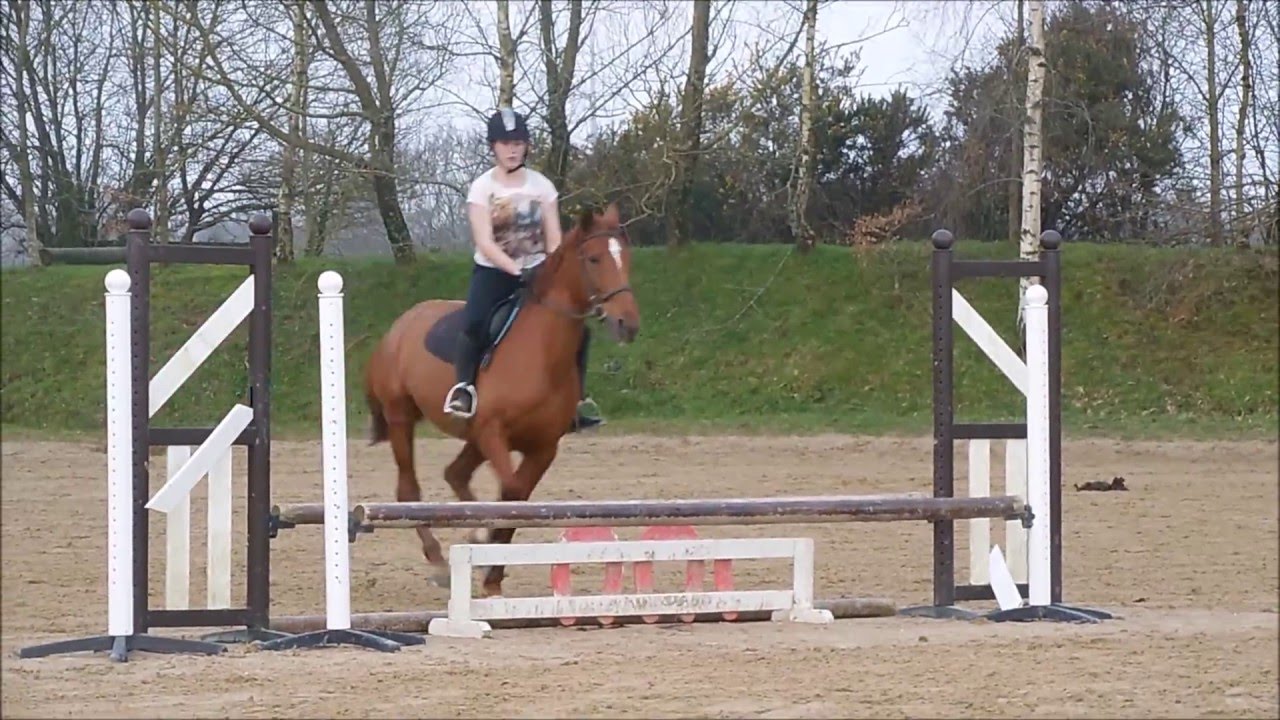 The sun is back ! - Cours d'obstacle galop 5 / 6 à l'Etrier Cherbourgeois