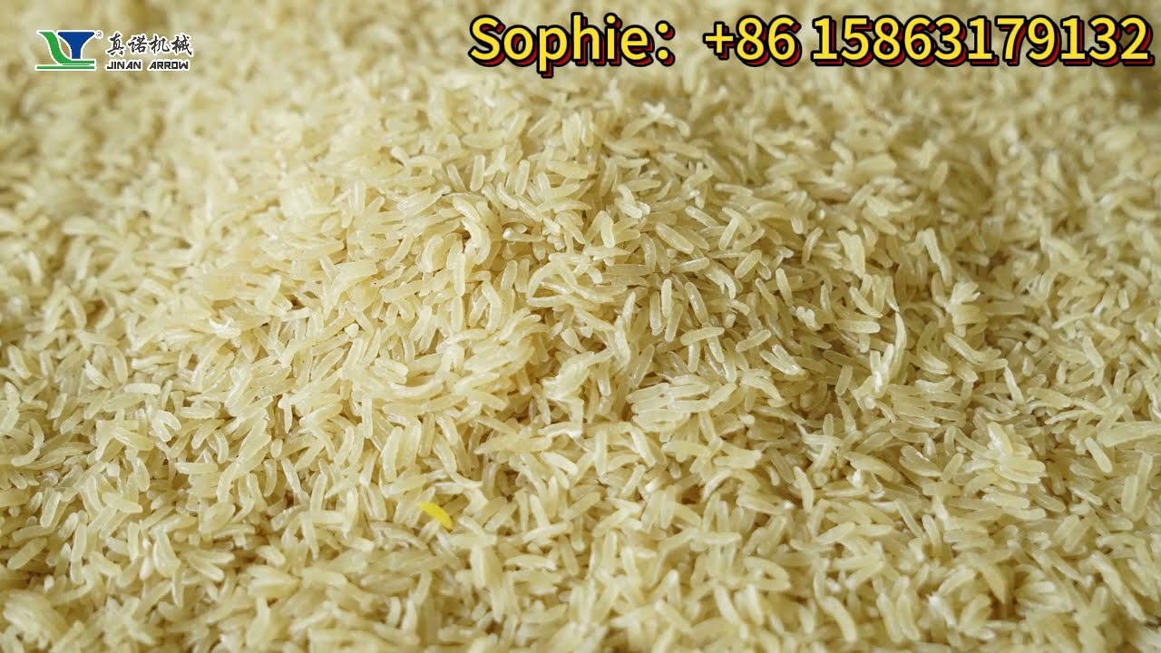 FRK Potato Rice fortified rice kernel extruder machine Nutritional rice extrusion machinery