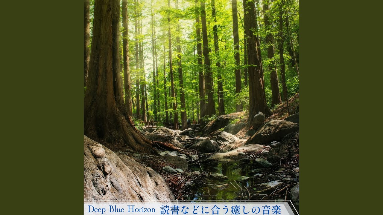 Peaceful Aromatic Experience