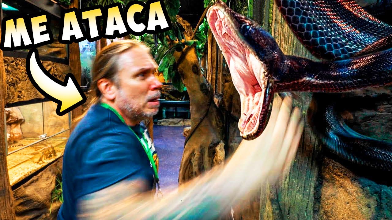 Esquivando un ATAQUE de SERPIENTE I Mordidas por todas partes