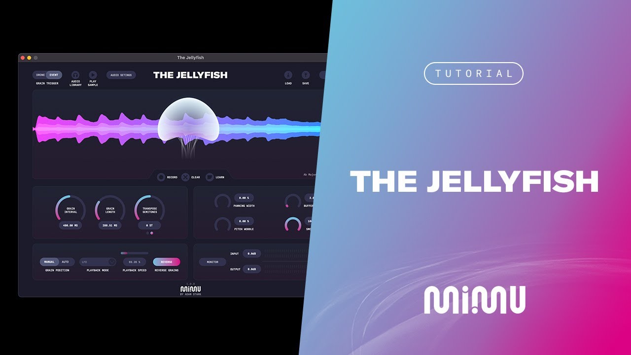 The Jellyfish: Granular Synthesis Audio Plugin - Full Tutorial