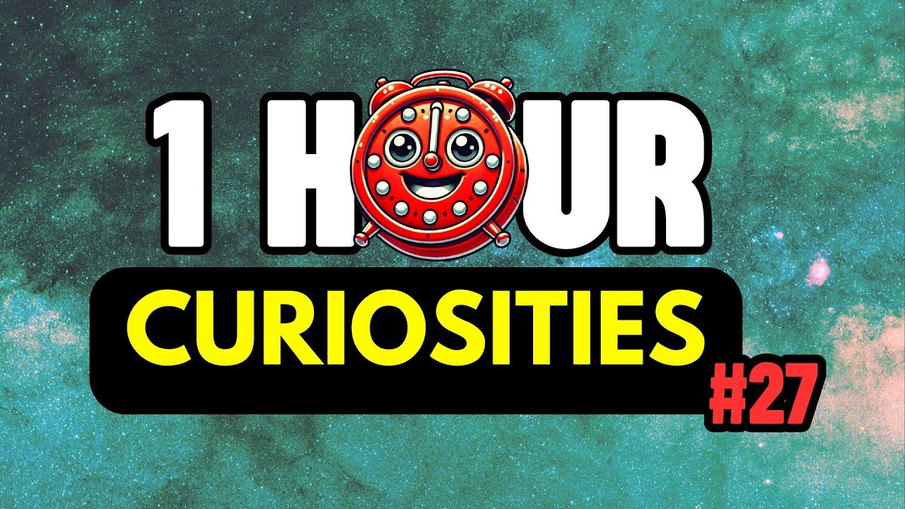 1 HOUR With Many CURIOSITIES That Few People Know😲⏰| #27