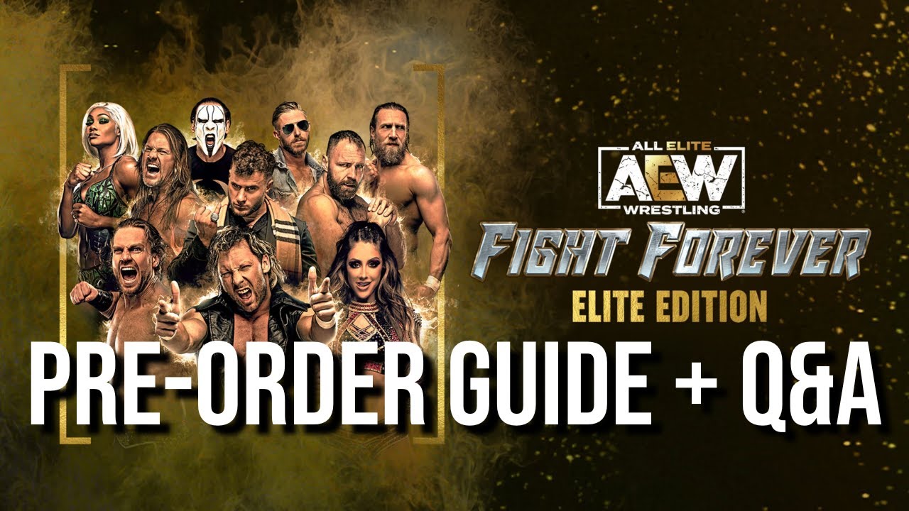 Everything You Need To Know BEFORE Buying AEW Fight Forever