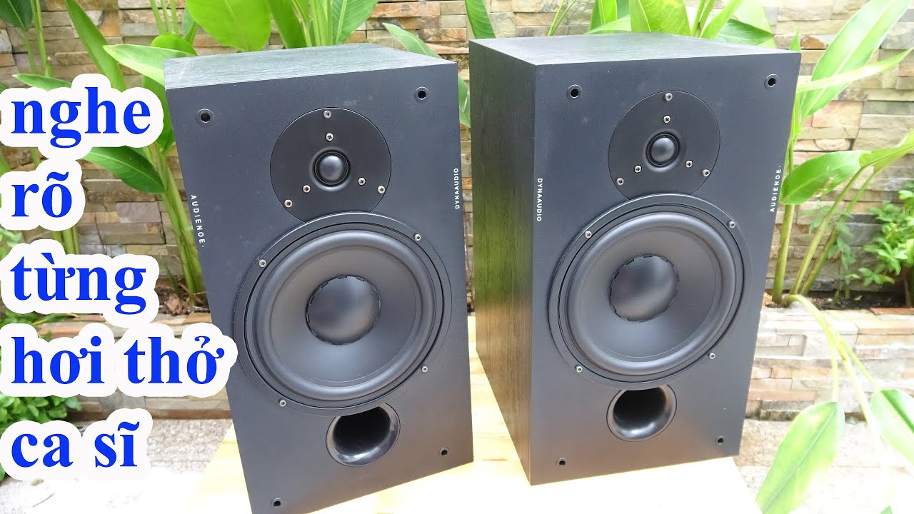 nghe rõ từng hơi thở ca sĩ-LOA ĐAN MẠCH DYNAUDIO AUDIENCE 15 đẹp keng rẻ bất ngờ