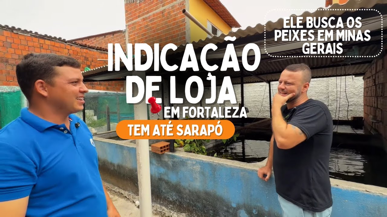 EP. 3 - ELE VAI DE FORTALEZA ATÉ MINAS PARA BUSCAR ESSES PEIXES!! (IB Peixes Ornamentais)