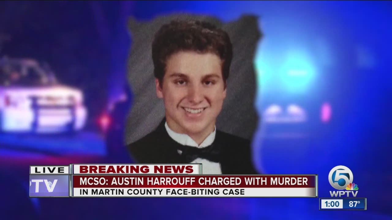 Austin Harrouff officially charged