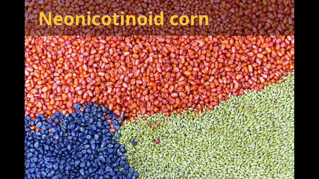 Neonicotinoids and their effect on honey bees