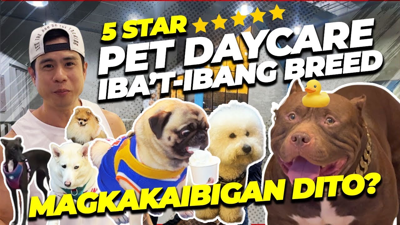 PAMPER YOUR PETS!⭐ TOUR SA LOOB NG 5-Star Pet Hotel+Daycare for Dogs & Cats (Grooming + Hotel na!)