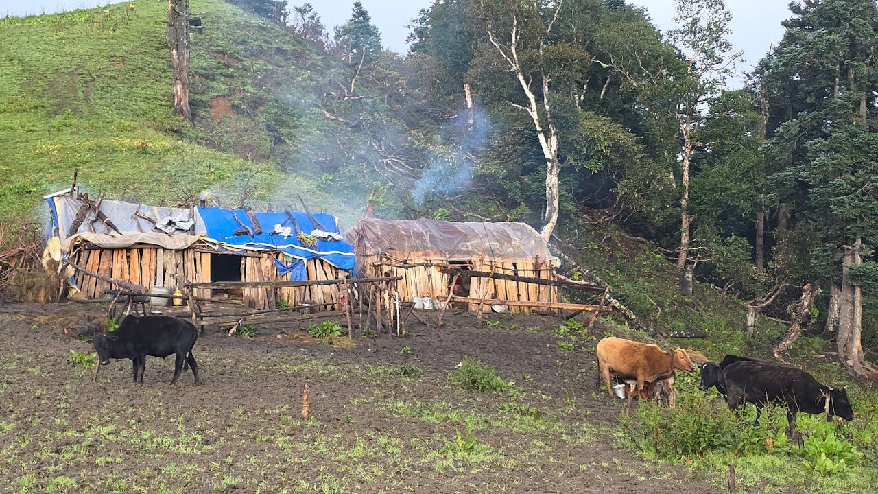 Nepali Mountain village life into the Rainy Season | Daily Activities of Rural village life in Nepal