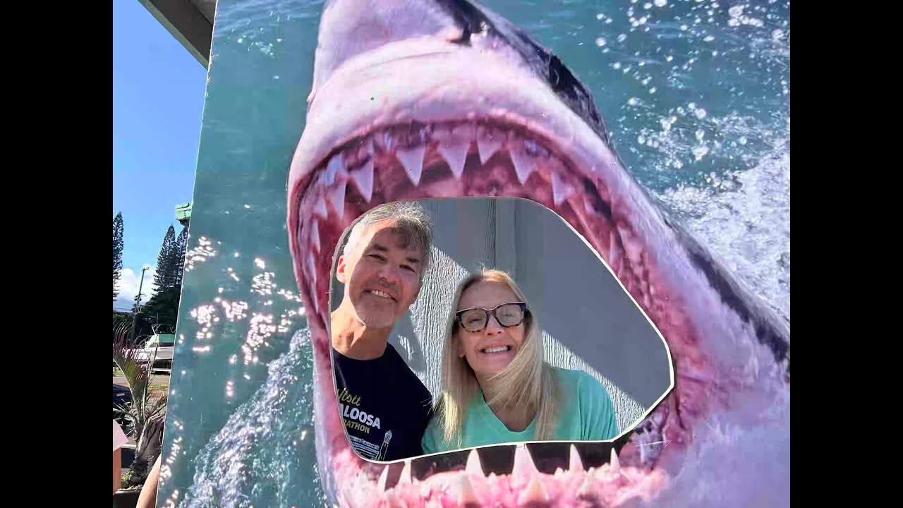 Shark Dive in Hawaii Anyone?