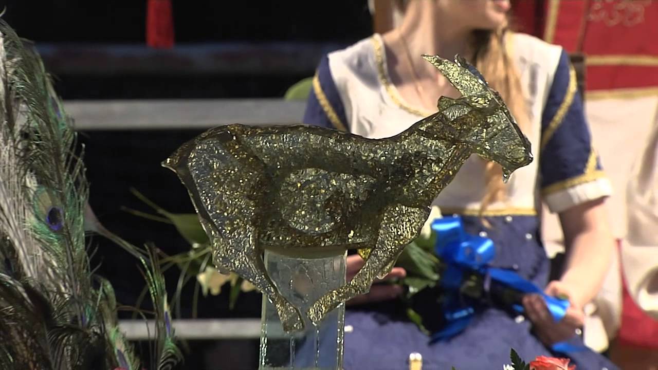 Palio della Capra d'oro 2015 (Cavriana, 04/07/2015)